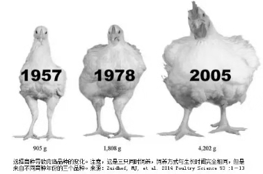 28圈-28圈平台官方网站-相信品牌的力量