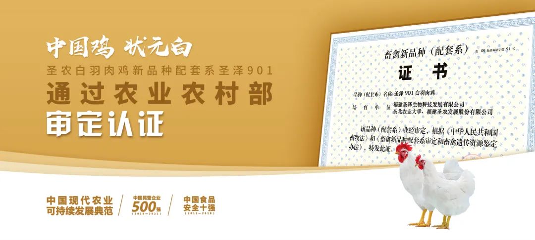 28圈-28圈平台官方网站-相信品牌的力量