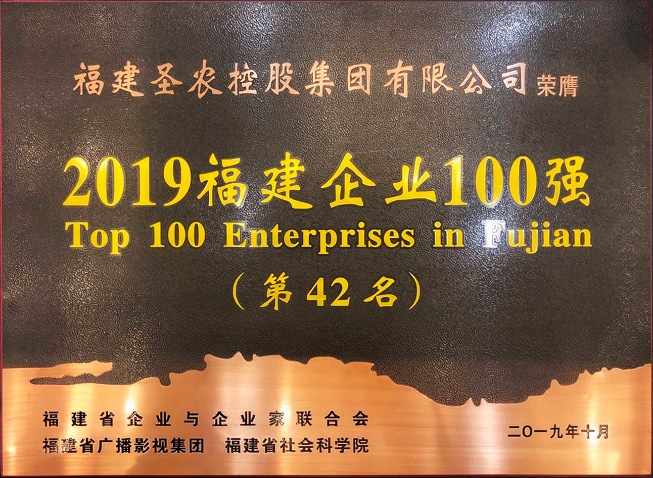 2019（28圈官网集团）福建企业100强